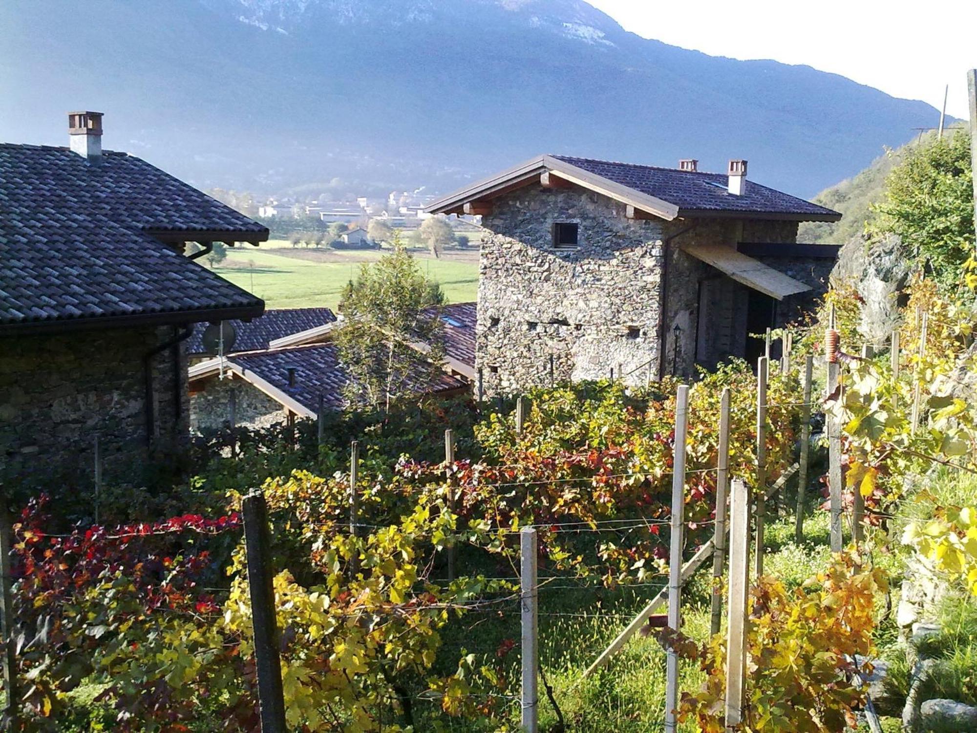 Farm stay Borgo Erbiola